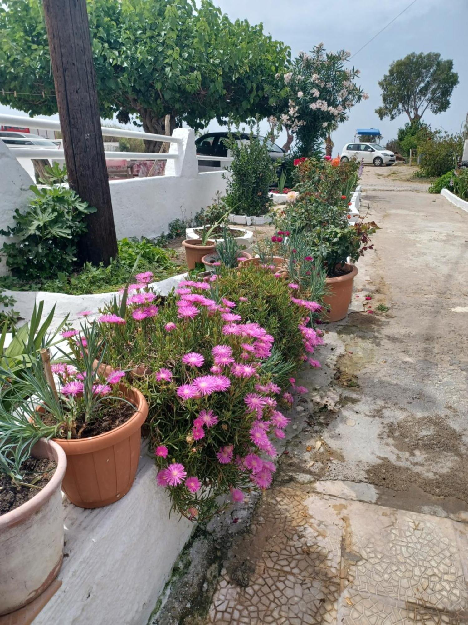 Mastichari Nektaria Studio Apartment Exterior foto